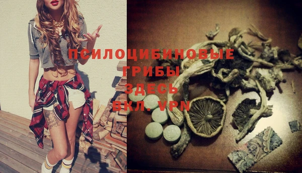 меф Весьегонск