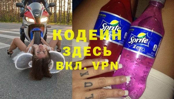 молекула духа Щёлкино