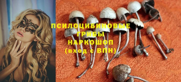 мескалин Щигры
