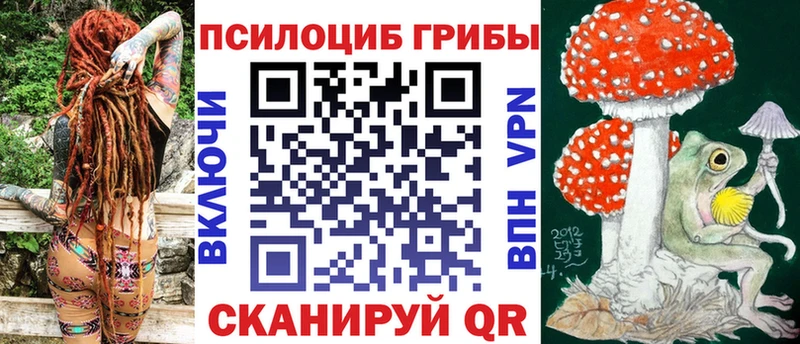 Псилоцибиновые грибы мухоморы  Купить закладки  Дедовск 
